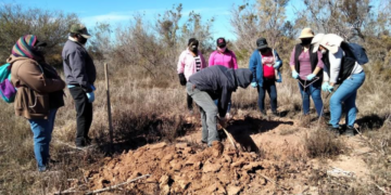 Madres buscadoras encuentran 16 cuerpos en fosas de Sonora y Baja California Sur