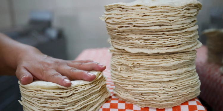 Gobierno promete bajar el precio de la tortilla en 10 % y autosuficiencia en maíz y frijol