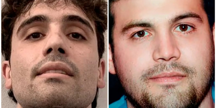 Sheinbaum asegura que EE.UU. no la ha notificado sobre acuerdo con hijos del ‘Chapo’ Guzmán