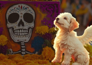 Día de Muertos: A qué hora llegan HOY los perros y gatos a la ofrenda