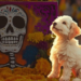 Día de Muertos: A qué hora llegan HOY los perros y gatos a la ofrenda