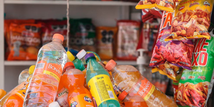 Adiós a la comida chatarra en escuelas: qué alimentos sí se podrán vender