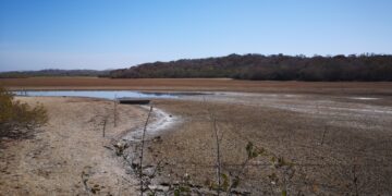 Sinaloa enfrenta una crisis hídrica prolongada a pesar de las lluvias