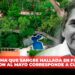 FGR confirma que sangre hallada en finca donde detuvieron al Mayo corresponde a Cuén Ojeda