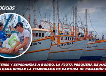 Con víveres y esperanzas a bordo, la flota pesquera de Mazatlán se alista para iniciar la temporada de captura de camarón 2024-2025.