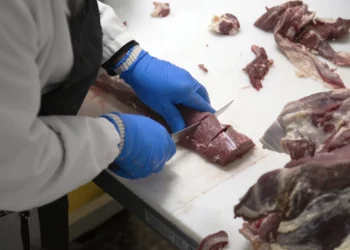 México Ascenderá al 8° Lugar Mundial en Producción de Carne Bovina en 2025