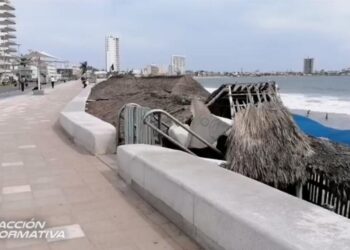 Gobierno busca frenar colocación de más palapas en zona de playa