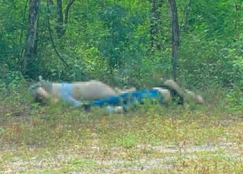 Abandonan cuerpos sin vida en carretera a Tamazula, Durango