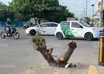 Vecinos de Av. Santa Rosa esquina con Libramiento III exigen ayuda para tapar hoyo; hasta “creció” un árbol, dicen