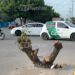 Vecinos de Av. Santa Rosa esquina con Libramiento III exigen ayuda para tapar hoyo; hasta “creció” un árbol, dicen