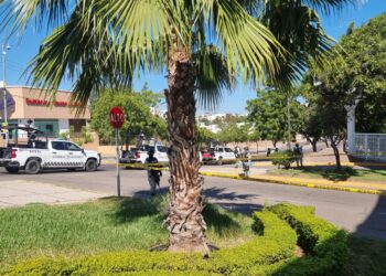 Hielera con mensaje a las afueras del parque Culiacán 87 moviliza a elementos de la Policía Estatal Preventiva