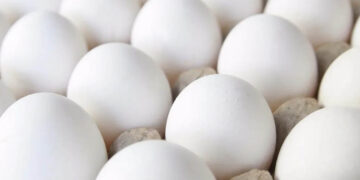 Huevo, esencial en la dieta de los mexicanos desde hace 500 años