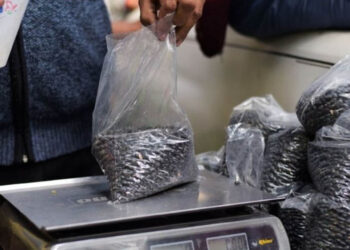 Profeco expone las marcas de frijoles que sí son lo que prometen y contienen mayor proteína en el mercado