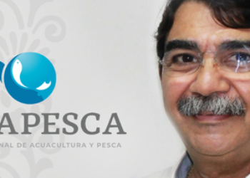 Alejandro Flores Nava, nuevo titular de Conapesca para impulsar la pesca sostenible