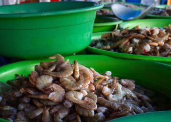 Hoy terminó la veda del camarón en el Pacífico, ¿Cómo se mantienen los precios actualmente?