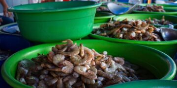 Hoy terminó la veda del camarón en el Pacífico, ¿Cómo se mantienen los precios actualmente?