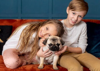 Qué razas de perros son las mejores para convivir con los niños