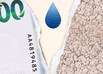 Crisis hídrica en Sinaloa: Un llamado urgente a la gestión sostenible del agua para salvar la agricultura y la economía local