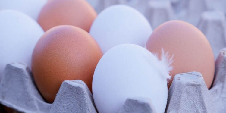Huevos blancos o rojos: ¿Cuáles son más saludables y cuáles son sus diferencias?