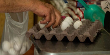 ¿Cuánto ha aumentado el precio del huevo en México desde el 2000 al 2024?