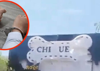 La macabra confesión del feminicida de la niña Sofía Delgado: era su vecino, la secuestró y mató en su tienda