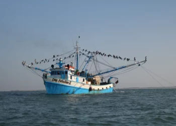 Flota pesquera de Mazatlán sigue en altamar con saldo blanco