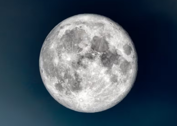 Luna del Castor 2024: ¿Cuándo ver el fenómeno astronómico en México?