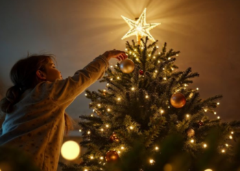 ¿Cuándo se empieza a poner el árbol de Navidad?