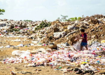 Próxima pandemia surgiría de los vertederos de basura de países en desarrollo, según estudio