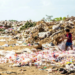 Próxima pandemia surgiría de los vertederos de basura de países en desarrollo, según estudio
