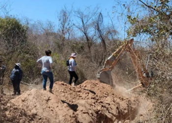 Hallan en Mazatlán cinco cuerpos en dos fosas clandestinas; tres víctimas son mujeres