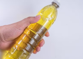 La popular alternativa al aceite de oliva que reduce los triglicéridos; conoce todos los beneficios