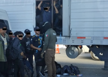Localizan a 257 migrantes dentro de tractocamión en Chihuahua