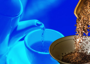 La semilla que te ayudará a bajar de peso, limpiar tus riñones y eliminar el colesterol alto si la tomas en té