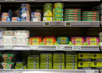 Alimentos enlatados: Seguridad, fechas de consumo y riesgos ¿de cáncer?
