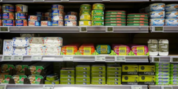 Alimentos enlatados: Seguridad, fechas de consumo y riesgos ¿de cáncer?