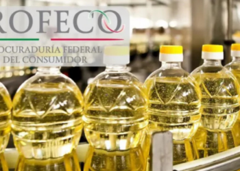 Conoce cuáles son los mejores aceites para cocinar, según la PROFECO