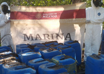 Personal de la Armada de México asegura bidones con probable precursor químico, cargadores, cartuchos, equipo táctico y vehículos en el estado de Sinaloa