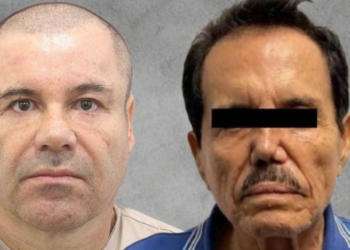 “El Mayo” estaría negociando para no encontrarse en prisión con su compadre “El Chapo”