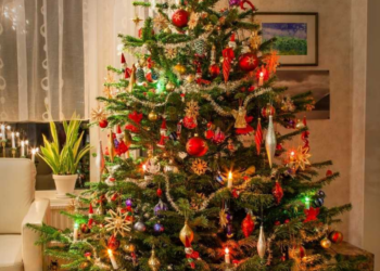 Cuidados de un árbol de Navidad natural: evita accidentes y que se seque rápido