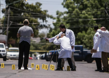 FGE informa de los hechos delictivos registrados este jueves 28 de noviembre del 2024 en el Estado de Sinaloa