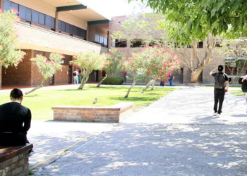 PRI pide incluir programa “Jóvenes Escribiendo el Futuro” a estudiantes de universidades privadas