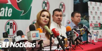 En 64 días de “terror” en Sinaloa van más de mil 200 vehículos robados: Paola Gárate