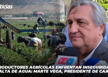 Productores agrícolas enfrentan inseguridad y falta de agua: Marte Vega, presidente de CAADES