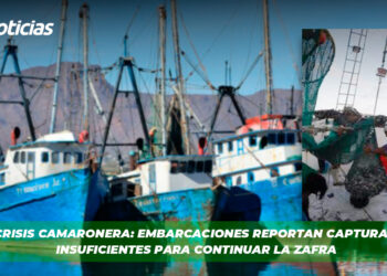Crisis camaronera: embarcaciones reportan capturas insuficientes para continuar la zafra
