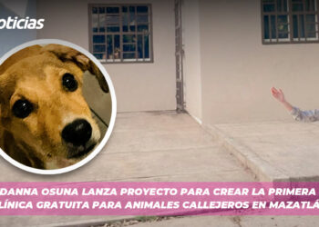Danna Osuna lanza proyecto para crear la primera clínica gratuita para animales callejeros en Mazatlán