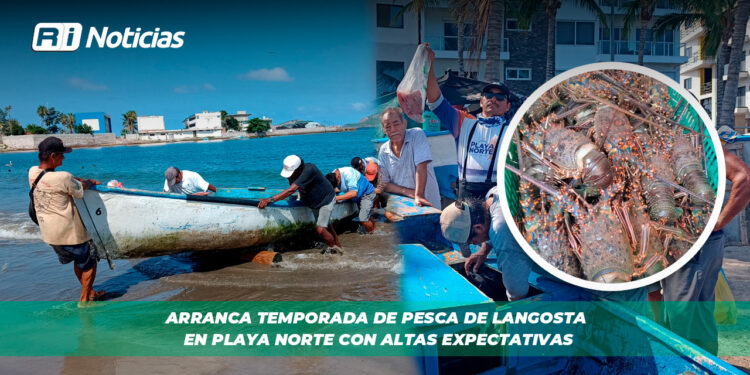 Arranca temporada de pesca de langosta en Playa Norte con altas expectativas