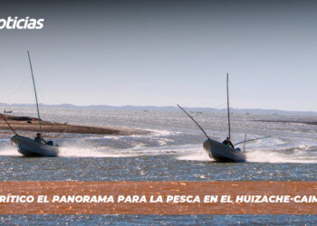 Se ve crítico el panorama para la pesca en El Huizache-Caimanero