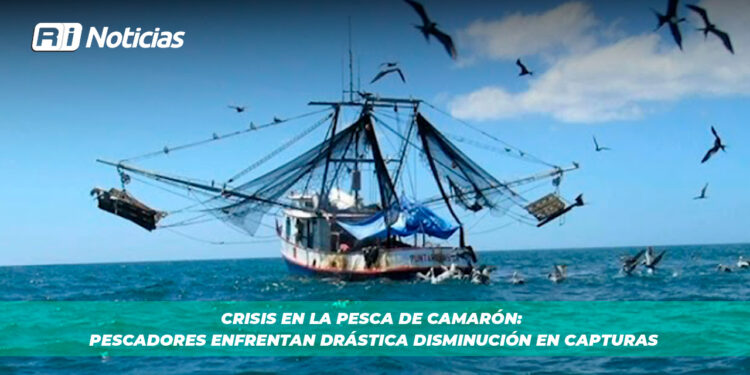 Crisis en la pesca de camarón: pescadores enfrentan drástica disminución en capturas