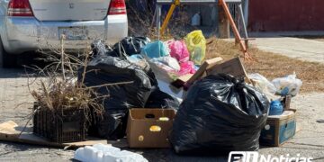 A casi tres semanas de gobierno, administración municipal abandona “poquito” parques de Mazatlán